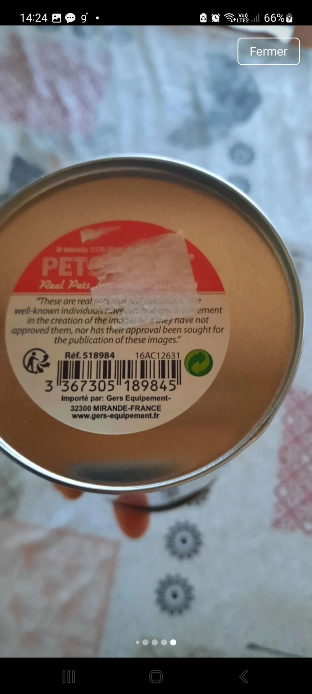 Caja Pets Rock – photo 9